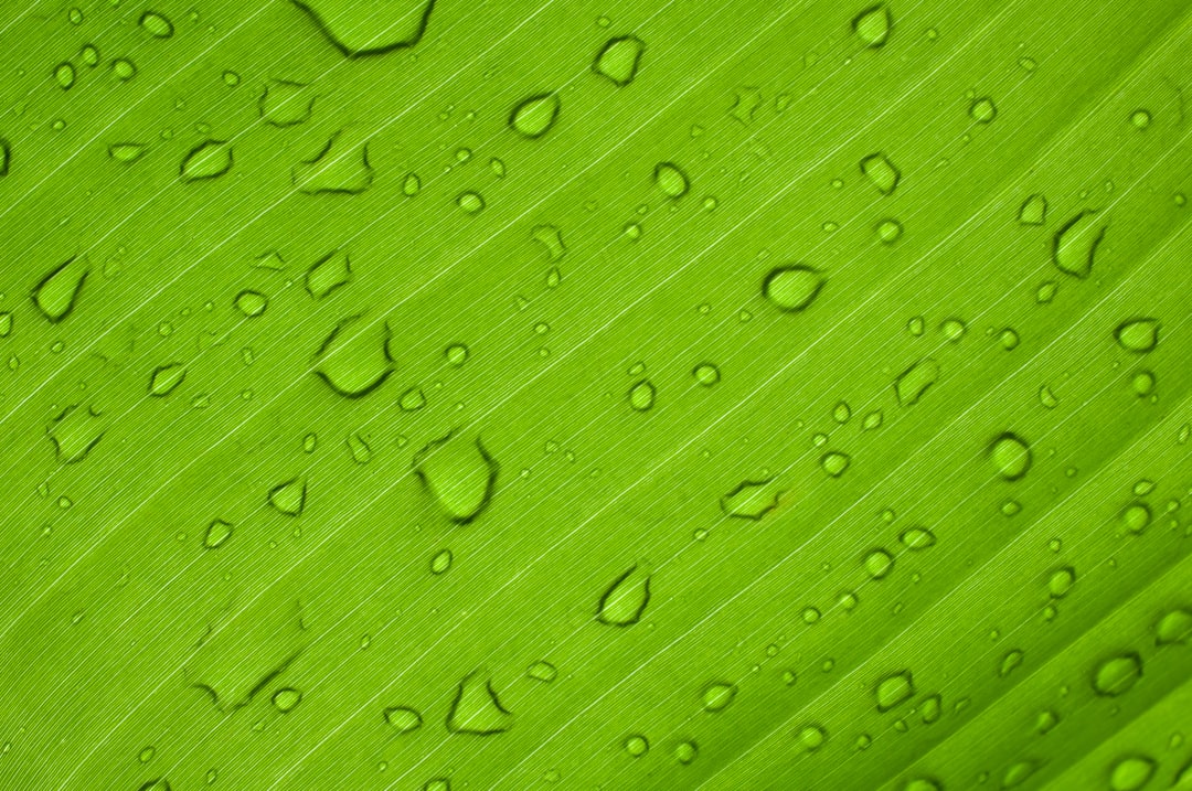 Зеленый водород Рур